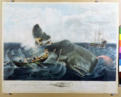 Capturing a Sperm Whale, gravert av J. Hill, publisert 1835 av William Page