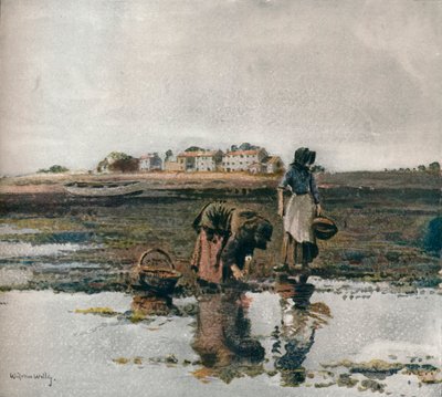 Blåskjellplukking, c1908 av William Page Atkinson Wells