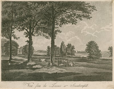 Utsikt fra terrassen til Strawberry Hill, London av William Pars