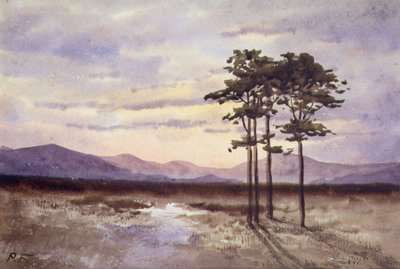 Sunset, County Sligo (akvarell på papir) av William Percy French