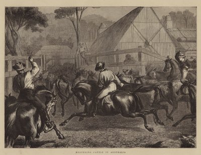 Mønstring av storfe i Australia av William Ralston