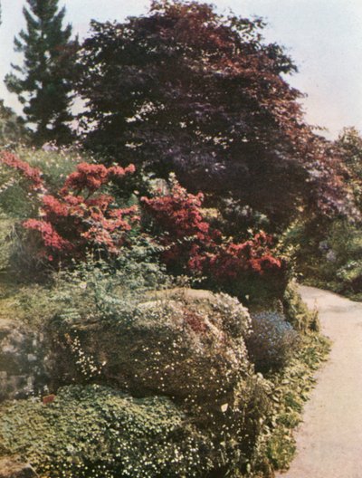  av William Ransford