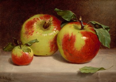 Studie av epler fra naturen av William Rickarby Miller