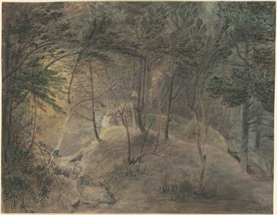 Utsikt fra Springhouse ved Echo av William Russell Birch