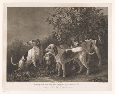 Fire jakthunder Harriers (tittel på objekt) av William Satchwell Leney