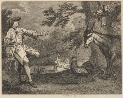 Uglen, svanen, hanen, edderkoppen, rumpa og bonden av William Skelton