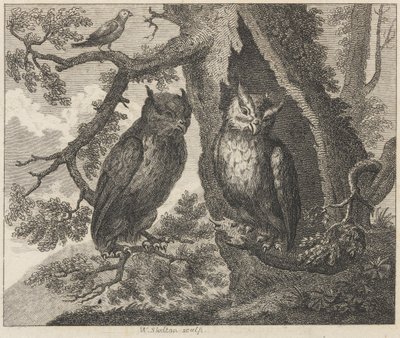 De to uglene og spurven av William Skelton