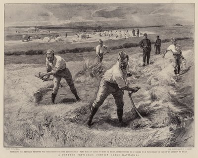 Et ettertraktet privilegium, Convict Gangs Haymaking av William Small