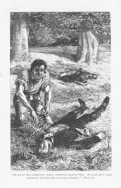 Adam Bede, etter å ha overvunnet Arthur Donnithorne i en kamp, blir forferdet over å se rivalen hans ligge bevisstløs. Adam Bede av George Eliot, første gang utgitt 1859. Illustrasjon av William Small (1843-1929) fra en utgave utgitt c1885. av William Small