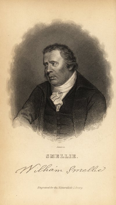 William Smellie, mestertrykker, oversetter, naturhistoriker, antikvar og leksikon av William Smellie