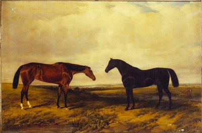 The Earl of Granards lyse bukthoppføll og mørkbrune hingst, 1885 av William Snr. Luker