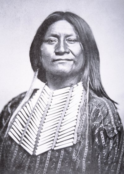 Comanche stammemann av William Soule