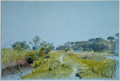 Castel Fusano - nær Roma av William Stanley Haseltine