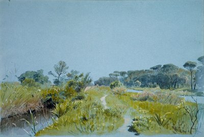 Castel FusanoNær Roma, ca. 1885. av William Stanley Haseltine