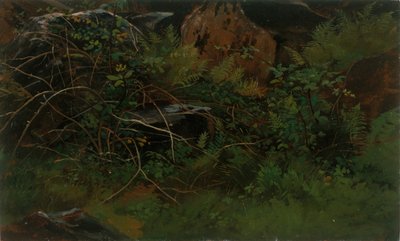 Studie fra naturen. av William Stanley Haseltine