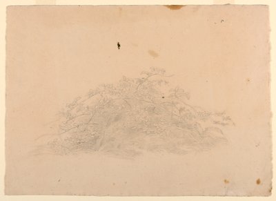 Studie av løvverk av William Stanley Haseltine