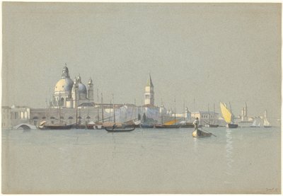  av William Stanley Haseltine