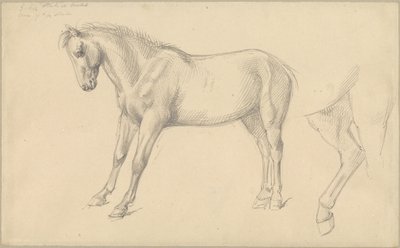 Studier av en ponni av William Strutt