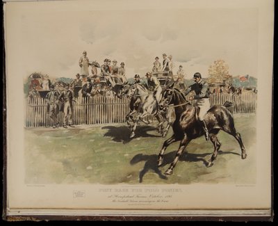 Ponniløp for poloponnier av William Sullivant Vanderbilt Allen