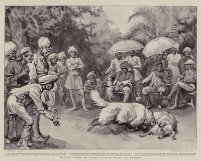 Native Sport i India, en Ram Fight i Bengal av William T. Maud