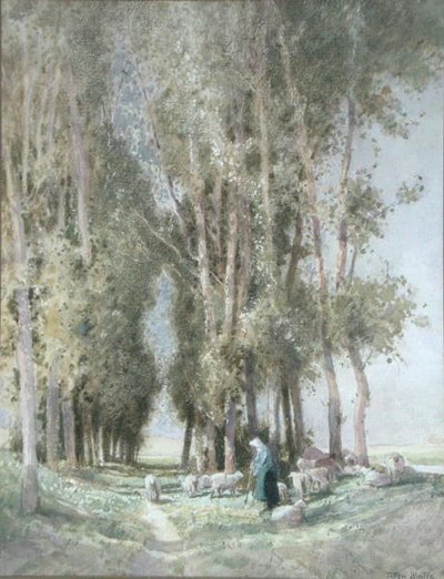 A Shepherness and her Flock, Holland (akvarell på papir) av William Tatton Winter