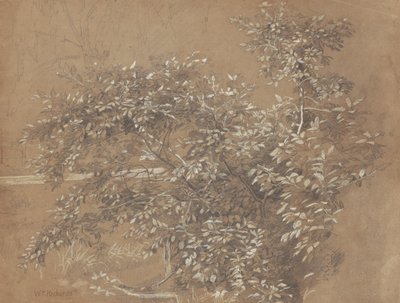 Løvverk av William Trost Richards