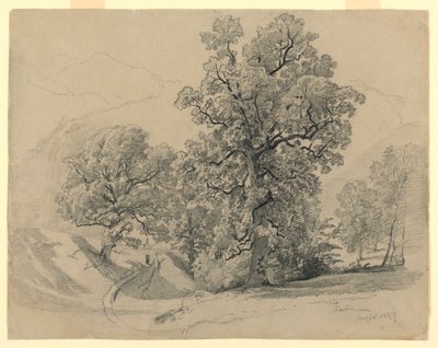 Landskap, Lauterbrunnen, Sveits av William Trost Richards