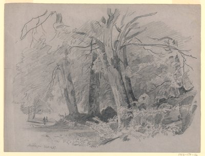 Landskap, Meiringen, Sveits av William Trost Richards