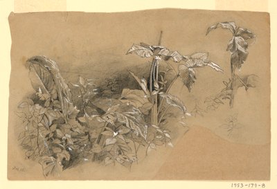 Studie av løvverk av William Trost Richards