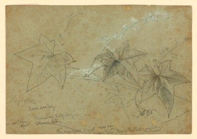Studie av løvverk av William Trost Richards