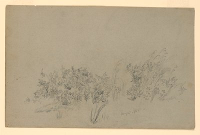 Studie av løvverk av William Trost Richards