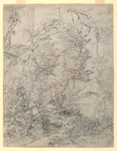Studie av løvverk av William Trost Richards