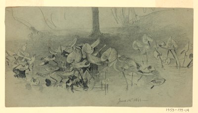 Studie av løvverk av William Trost Richards
