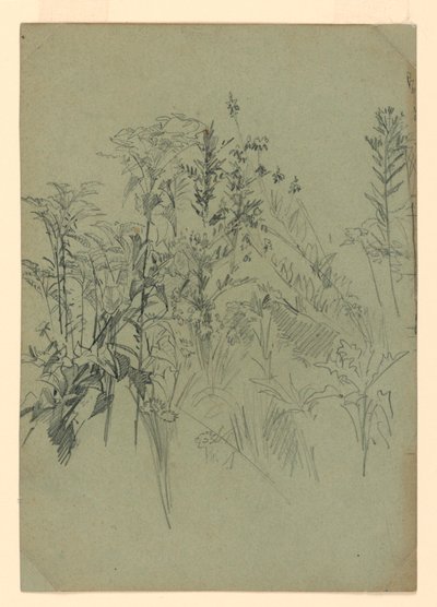 Studie av løvverk av William Trost Richards