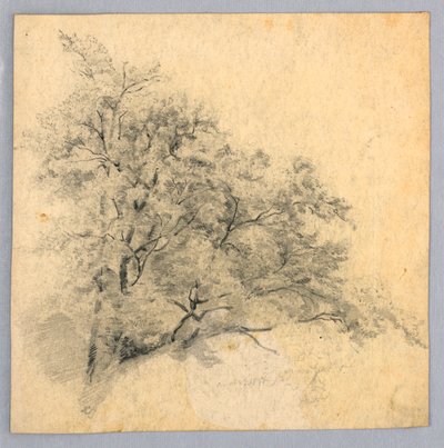Studie av løvverk av William Trost Richards