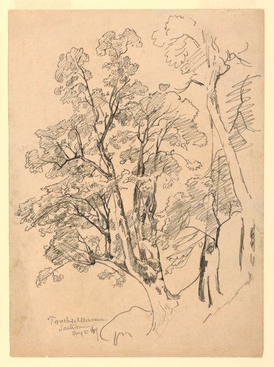 Studie av løvverk, Trachselwald, Bern, Sveits av William Trost Richards