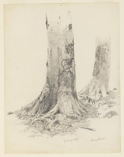Trestammer, Darmstadt av William Trost Richards