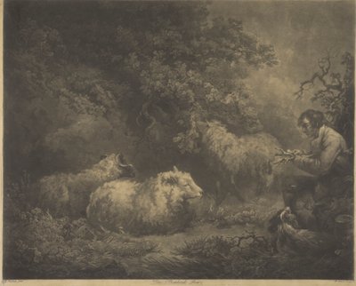 Shephard-gutten av William Ward