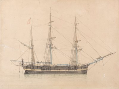 Hvalfangeren "Truelove" av Hull av William Ward