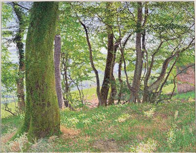 Carmarthenshire ettermiddag av William Wilkins