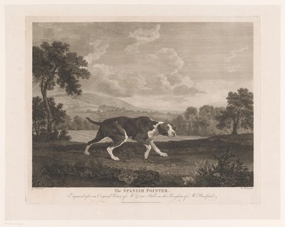 Spansk peker i landskapet Den spanske pekeren (tittel på objekt) av William Woollett