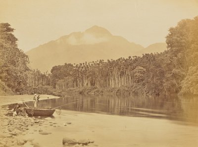  av Willoughby Wallace Hooper