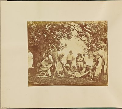  av Willoughby Wallace Hooper