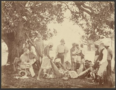  av Willoughby Wallace Hooper
