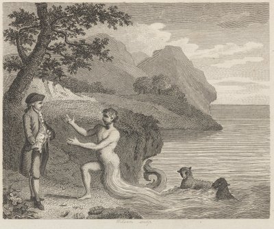 Courtier og Proteus av Wilson