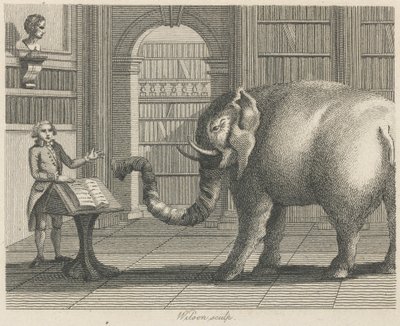 Elefanten og bokhandleren av Wilson