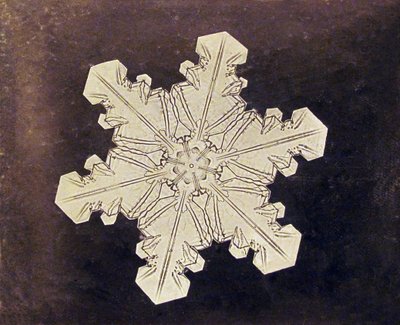 Studie av et snøfnugg av Wilson A. Bentley