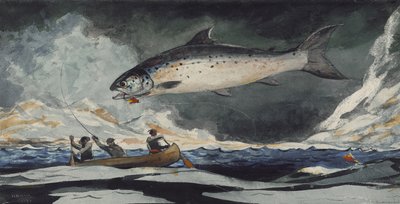 Et godt basseng, Saguenay River, 1895 av Winslow Homer