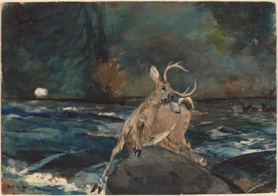 Et godt skudd, Adirondacks av Winslow Homer