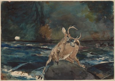 av Winslow Homer